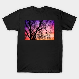 Ash Tree Sunset T-Shirt